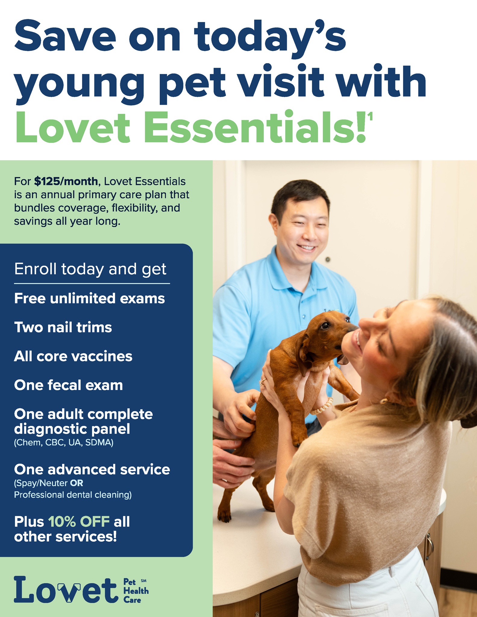 Picture of Essential Young Pet Flyer Illinois